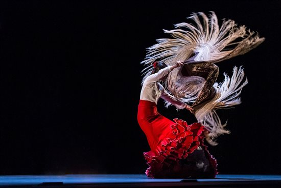 Flamenco thérapie