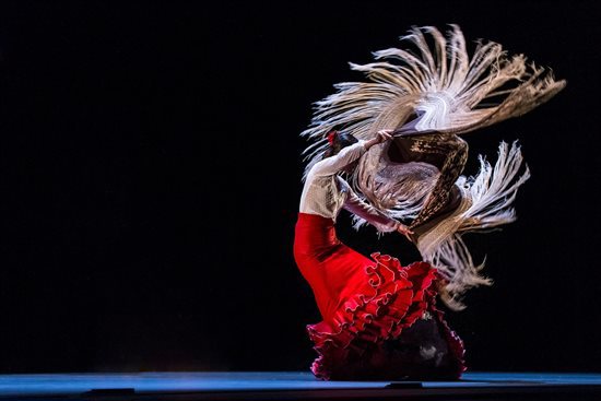 Flamenco thérapie