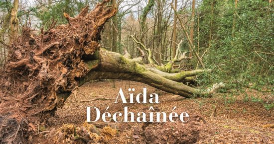 Aïda déchaînée Aïda resserrée