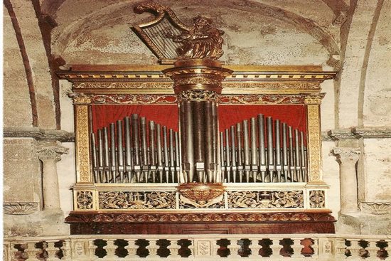 Organum ad libitum