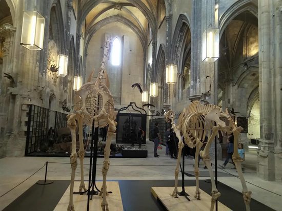 De l’espace pour les espèces