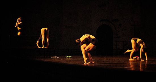 Le clavecin en danse et en majesté